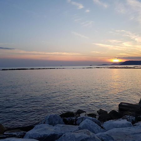 Hotel Patrizia Marina di Massa Bagian luar foto